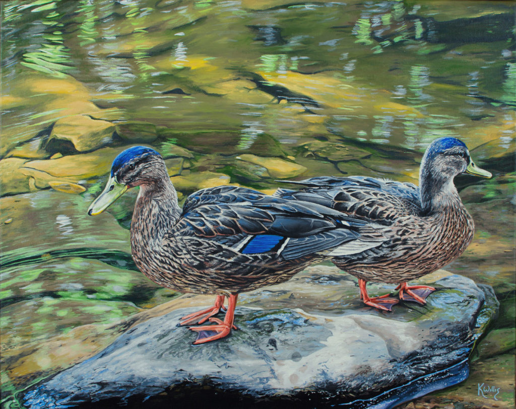 Wissahickon Ducks Posing by Keith G Willi, 16×20, $960