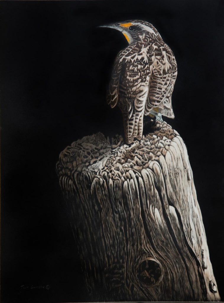 A State Bird by Tom Samson 13x16 $4,500