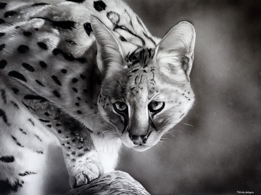 On the Prowl by Patrick Hedges, MSA 18x24 SOLD