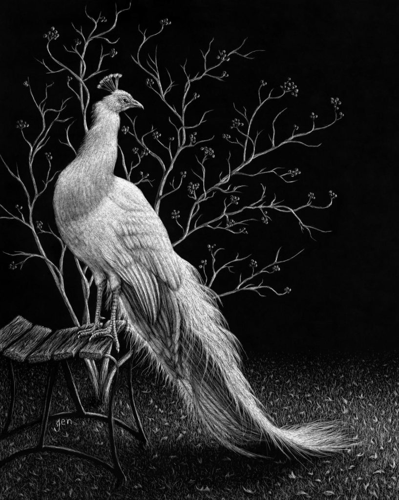 Peacock by Jenna Hestekin 10x8 $500