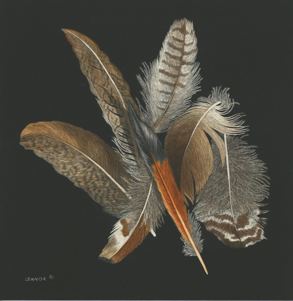 Seven Feathers by Sharon Lennox, SSA 10x10 $600